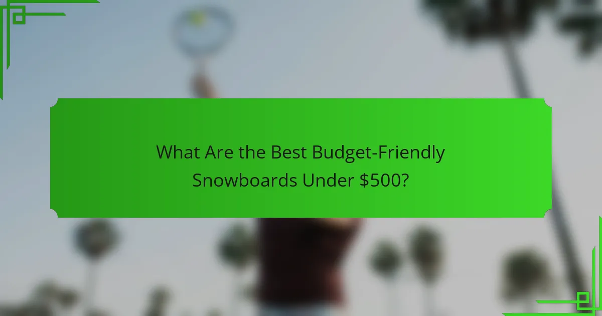 What Are the Best Budget-Friendly Snowboards Under $500?