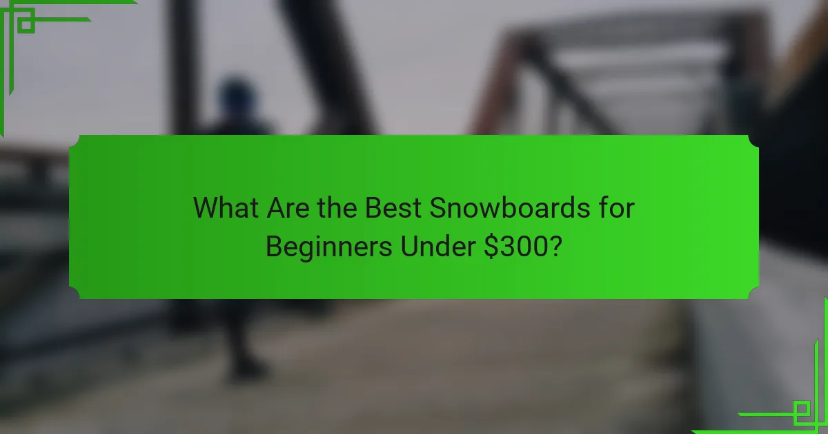 What Are the Best Snowboards for Beginners Under $300?