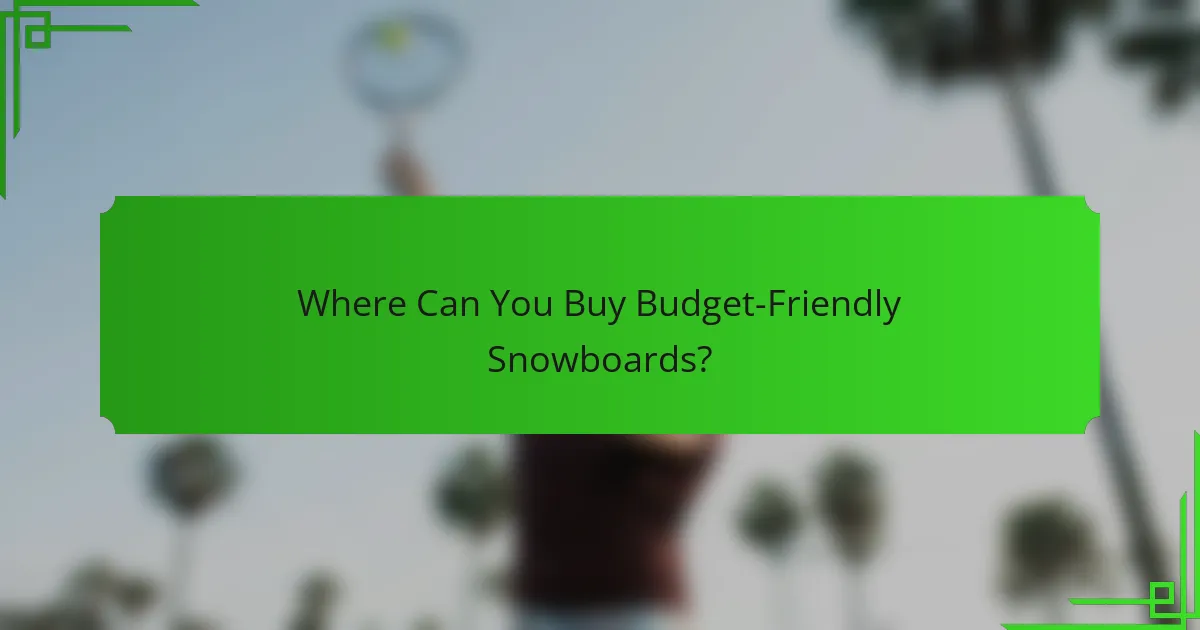 Where Can You Buy Budget-Friendly Snowboards?